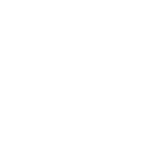 Google Play Store Logo