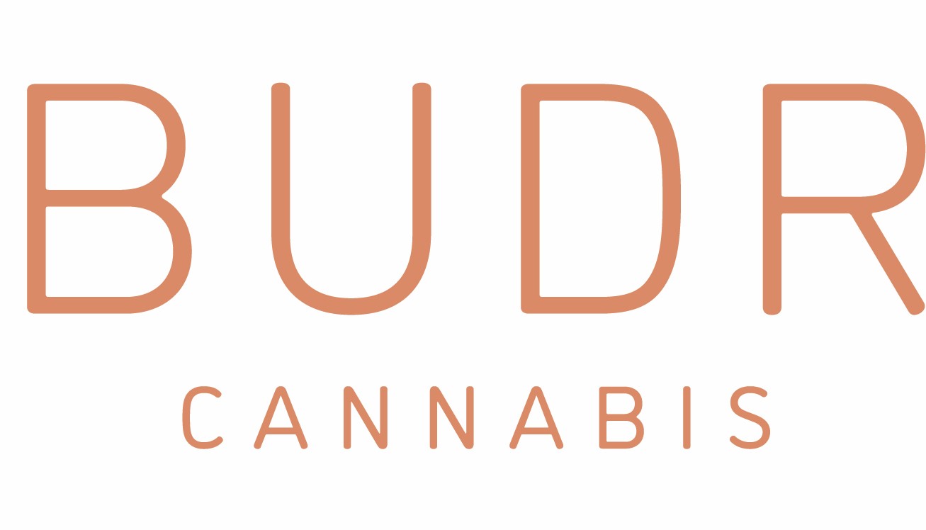 Budr Logo_CMYK Color_Copper Nesso group logo