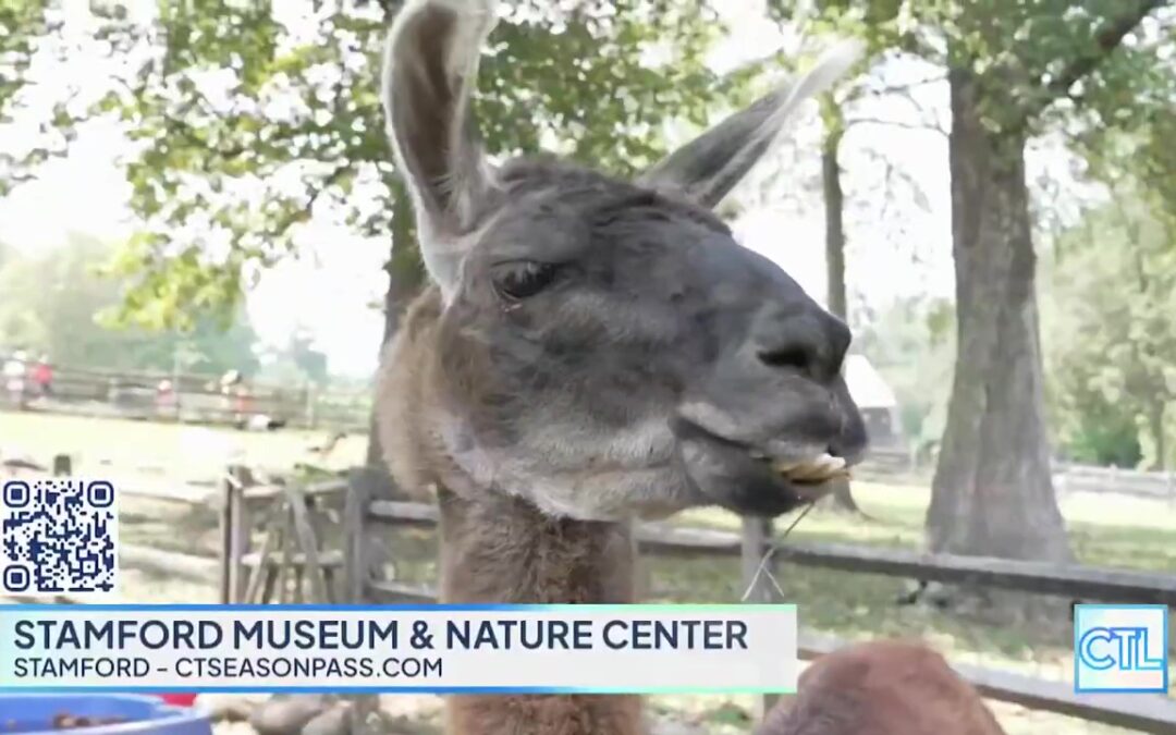 CT LIVE: CT Season Pass – Stamford Museum & Nature Center
